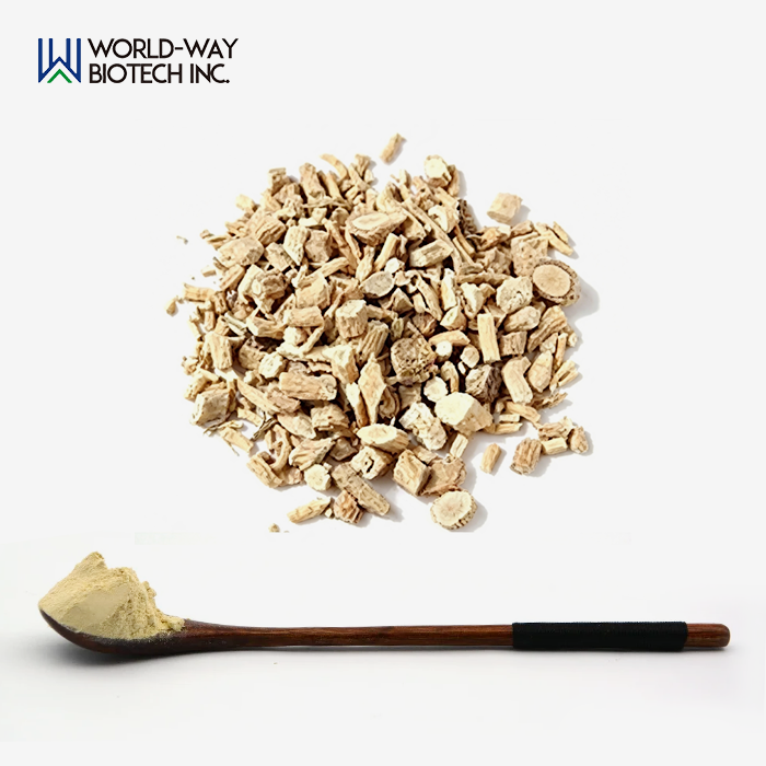 Isatis Root Extract Isatis Root Extract